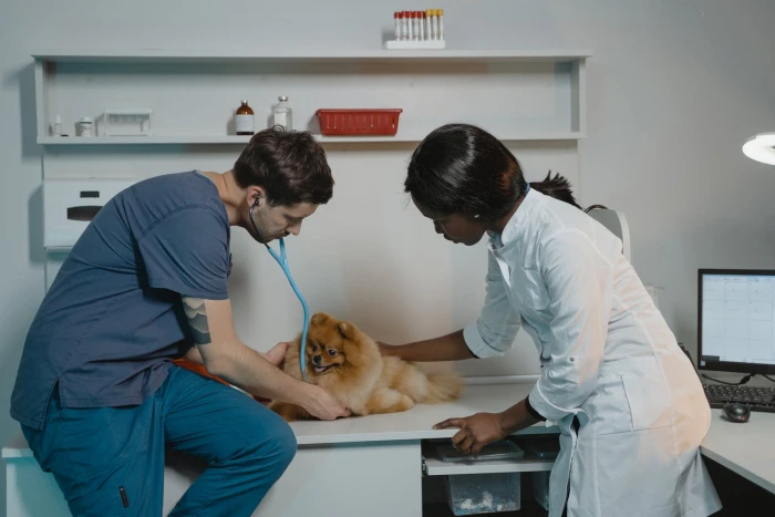 Course - DIPLOMA IN VETERINORY